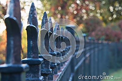 Iron Fence Stock Photo