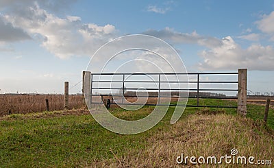 Iron fence between wooden poles Stock Photo