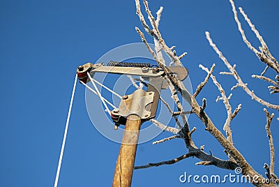 Iron garden pruner for pruning tree branches Stock Photo
