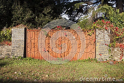 Iron large gate covered with many flowers Stock Photo