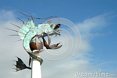 Iron-plate sheatfish Stock Photo