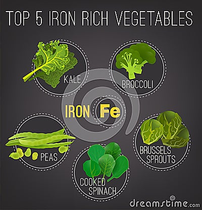 Iron-Rich Foods Poster Vector Illustration