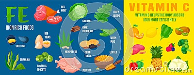 Iron rich foods and vitamin c foods for better absorption. Healthy food landscape poster Vector Illustration