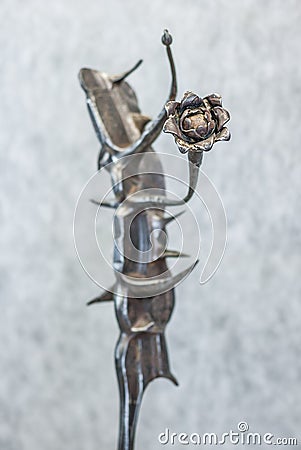 Iron rose Stock Photo