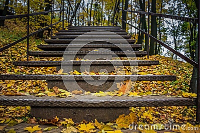 Iron staircase in the autumn forest Yellow leaves lie on the stairs. Climb on mountain 