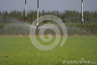 Irrigation 4 Stock Photo