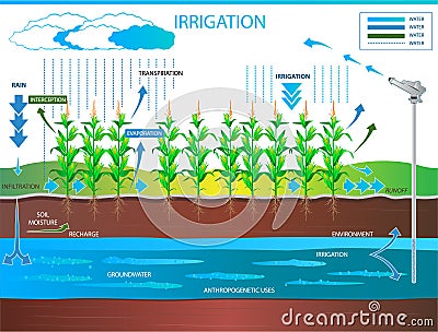 Irrigation to land for the agricultural production Vector Illustration