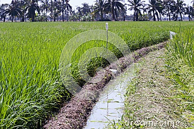 Irrigation ditch Stock Photo