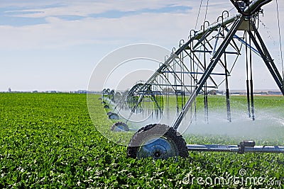 Irrigation Pivot Stock Photo