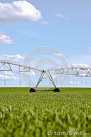 Irrigation pivot Stock Photo