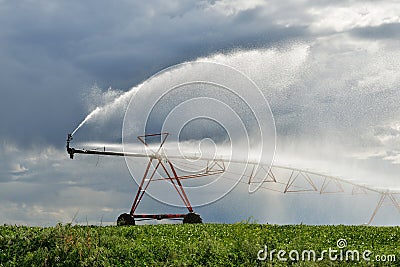 Irrigation pivot on the wheat field Stock Photo