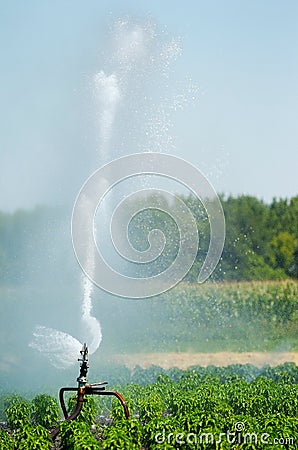 Irrigation spout in a field Stock Photo