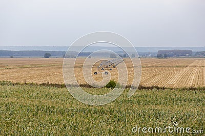 Irrigation system in a grain field Stock Photo