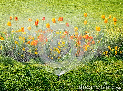 Irrigation system water sprinkler working in garden Stock Photo