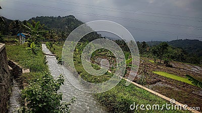 Irrigation water channels in stunning rice fields Stock Photo