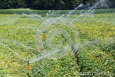 Irrigational system on industrial potato field Stock Photo