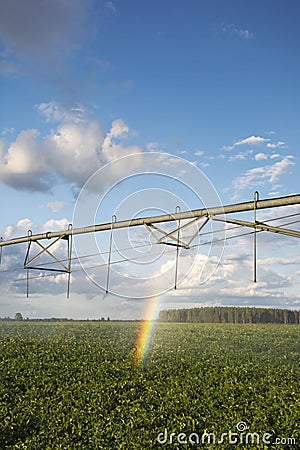 Irrigator, potato field with a rainbow. MIdwest, USA Stock Photo