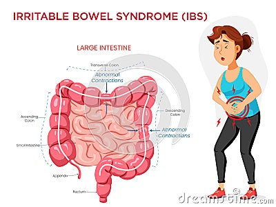 Irritable Bowel Syndrome Visualizing Symptoms With An Intestine Diagram