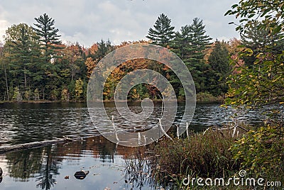 Irwin Lake, Hiawatha National Forest, Michigan, USA Stock Photo