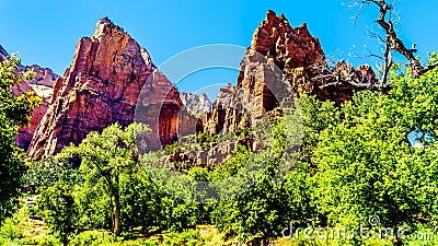 Isaac Peak and Jacob Peak in Zion National Park in Utah, United Sates Stock Photo