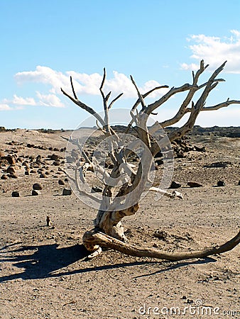 Ischigualasto National Park Stock Photo