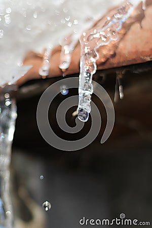The ise iciles are melting under the warm rays of the sun and dripping drops of water. Macro. Stock Photo