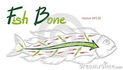 Ishikawa fishbone diagram detailed vector sketch illustration Vector Illustration