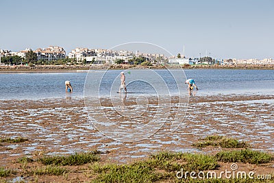 ISLA CRISTINA, HUELVA, SPAIN - August 10, 2016 : Non-professional shellfish gatherers collect clams. Editorial Stock Photo