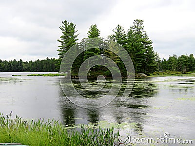 Island full of grown trees in the middle of a lake Stock Photo