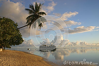 Island Moorea Stock Photo