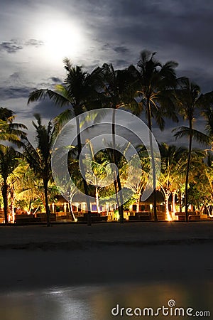 Island in ocean, Maldives. Night. Moon above palm trees Stock Photo