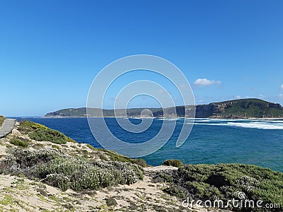 Island off the coast with coastal bush in foreground Stock Photo