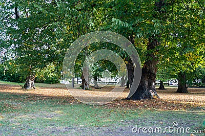 Island park at Suomenlinna Sveaborg, Helsinki, Finland Stock Photo