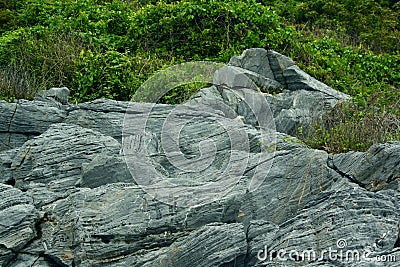 Island Rocks on Egde Green Tropical Background Stock Photo