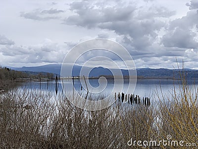 Government island in the Columbia River viewed from Camas-Washougal Stock Photo