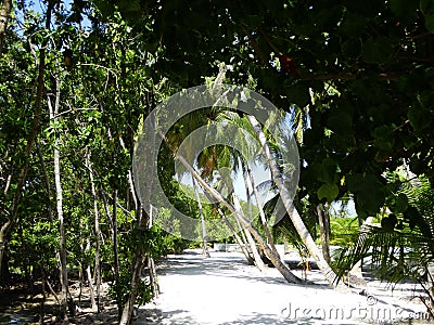 Street scenes of maldivian town on Huraa island Editorial Stock Photo