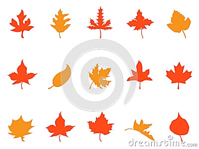 Color autumn leaves patterns icons Vector Illustration