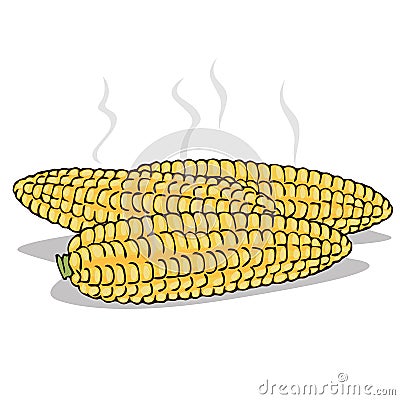 Isolate boiled corn ears with steam Vector Illustration