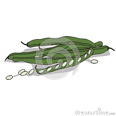 Isolate pod of pea or beans Vector Illustration