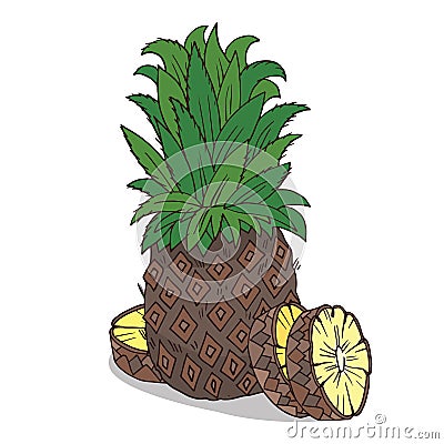 Isolate ripe ananas fruit Vector Illustration