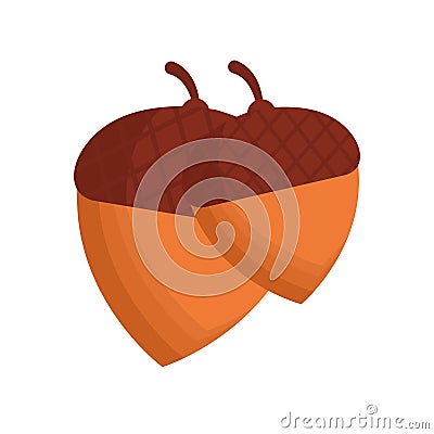 Isolated acorns fruit vector design Vector Illustration