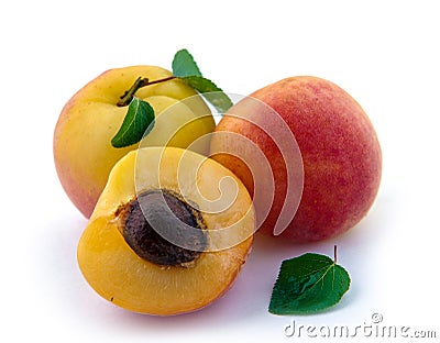 Isolated apricot. Fresh cut apricot fruits isolated Stock Photo