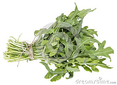 Isolated Arugula Stock Photo