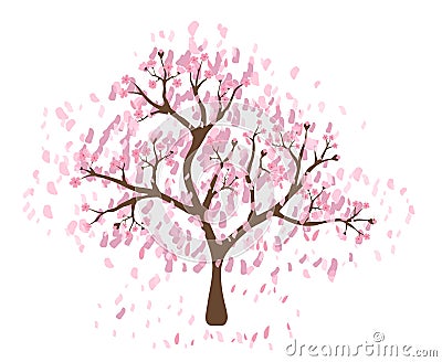 Isolated beautiful cherry blossom tree Stock Photo