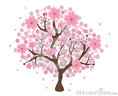 Isolated beautiful cherry blossom tree Stock Photo