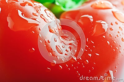 Isolated bell pepper paprika Stock Photo