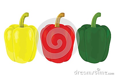 Isolated bell pepper on white background Vector Illustration