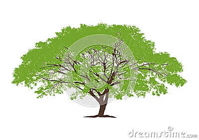 Isolated big tree. vector logo design. natural plant sign Vector Illustration