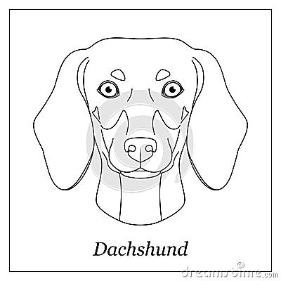 Isolated black outline head of dachshund on white background. Line cartoon breed dog portrait. Vector Illustration
