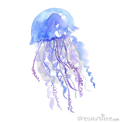 Isolated blue jellyfish watercolor illustration. Cartoon Illustration